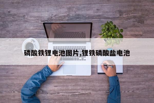 磷酸铁锂电池图片,锂铁磷酸盐电池