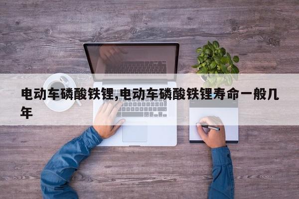 电动车磷酸铁锂,电动车磷酸铁锂寿命一般几年