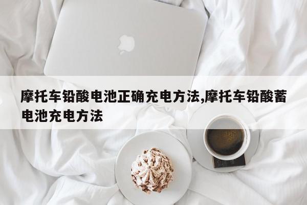 摩托车铅酸电池正确充电方法,摩托车铅酸蓄电池充电方法